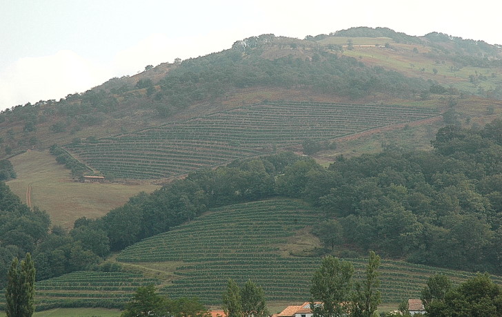 Vignoble d' Irouléguy à l'entrée de Saint-Etienne-de-Baïgorry - Le vignoble est planté en terrasses - © M.CRIVELLARO