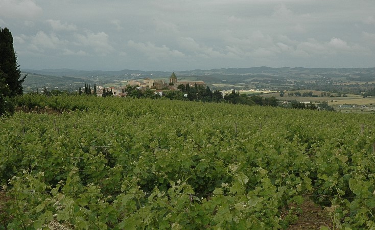 Vignoble de Malepère à proximité du village de Cailhavel  - © M.CRIVELLARO