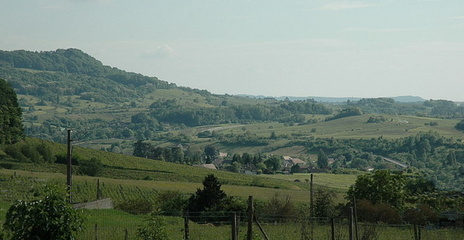 Vignoble des Côtes du Jura vers Salins-les-Bains. Vignoble des Côtes du Jura vers Salins-les-Bains.