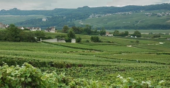 Région Champagne
