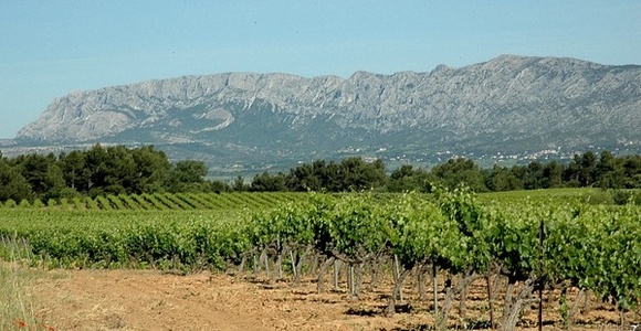 Vignobles des Côtes de Provence à Pourrières - Montagne Sainte-Victoire en fond.