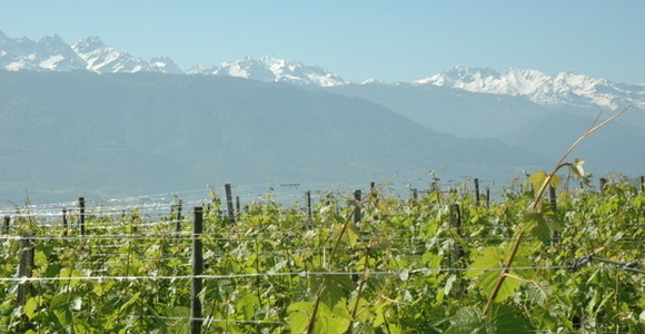 Région Savoie-Bugey