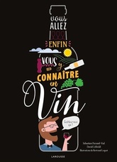 Vous allez enfin vous y connaître en vin - David Cobbold, Sébastien Durand-Viel - 2021