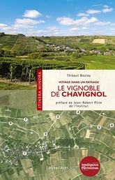 Le vignoble de Chavignol  - Voyage dans un paysage  -  Thibaut Boulay - 2017