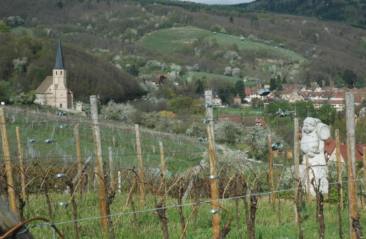 Andlau - Vue depuis les vignobles sur le village d'Andlau- Statue de Saint-Vincent, patron des vignerons, au milieu des vignes - © M.CRIVELLARO