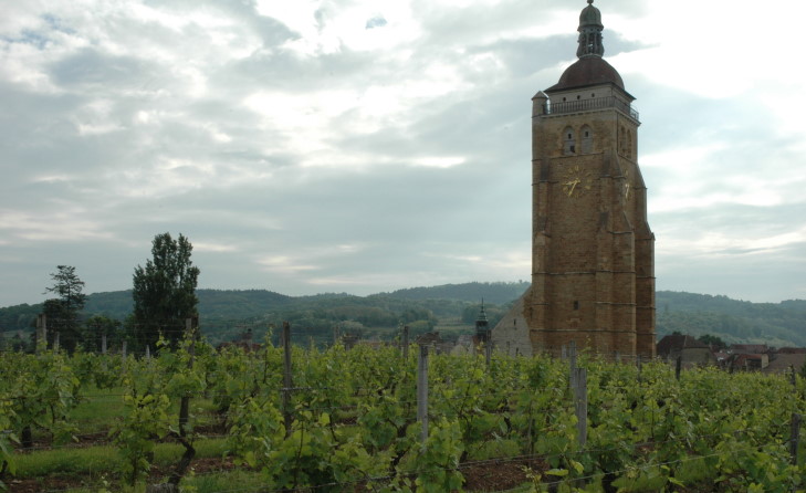 Arbois - Vignes et église Saint-Just d'Arbois de style romane et gothique du XIIe siècle.  © M.CRIVELLARO