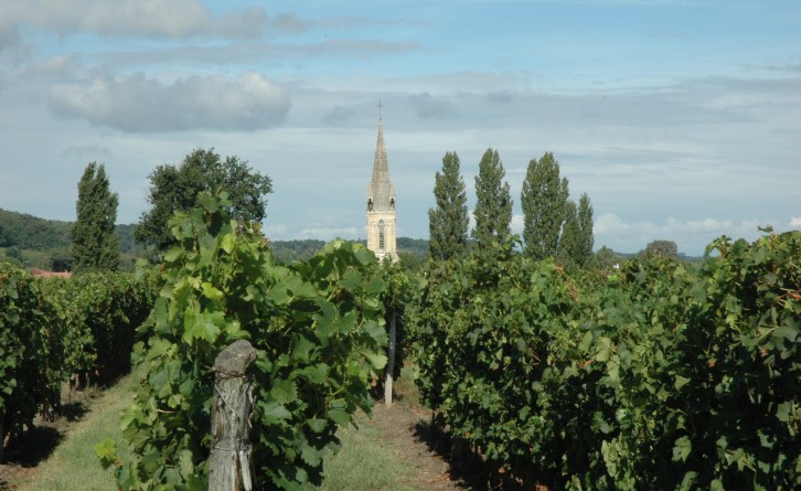 Buzet-sur-Baïse - Vignes et église Notre-Dame. © Marion CRIVELLARO