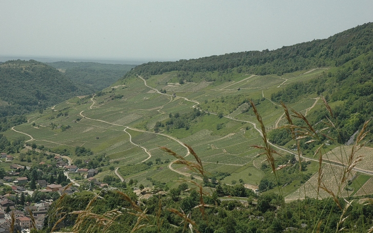 Cerdon - Vue générale des vignes implantées sur les chaînons jurassiques du Massif du Jura - © M.CRIVELLARO