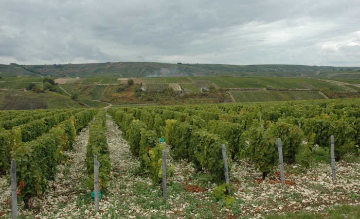 Collines et coteaux vignobles de Sancerre - © M.CRIVELLARO