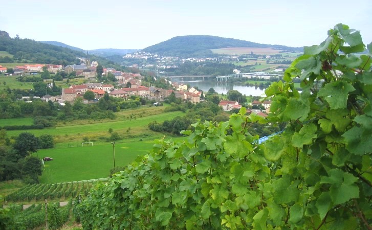 Contz-les-Bains - Depuis le vignoble sur les versants de la  Côte Infraliasique vue sur la Moselle et au loin Sierck-les-Bains - © M.CRIVELLARO