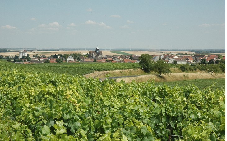 Côte de Sézanne - Village viticole de Barbonne-Fayel -  © M.CRIVELLARO
