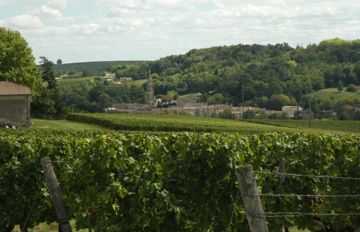 Côtes de Bordeaux - Environs de Cadillac - © M.CRIVELLARO