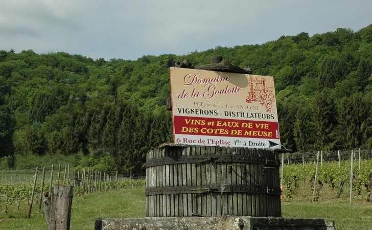 Domaine de la Goulotte (Philippe et Evelyne Antoine) à Saint-Maurice-sous-les-Côtes - © M.CRIVELLARO