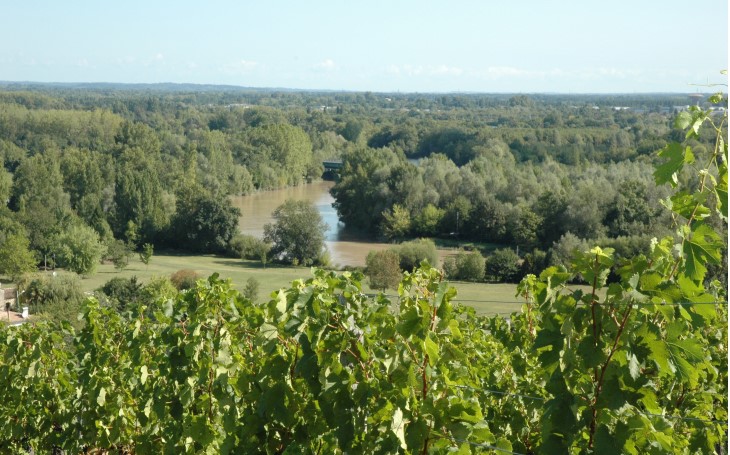 Fronsac - Depuis le Chemin de Richelieu, le vignoble domine la vallée de l'Isle - © Marion CRIVELLARO
