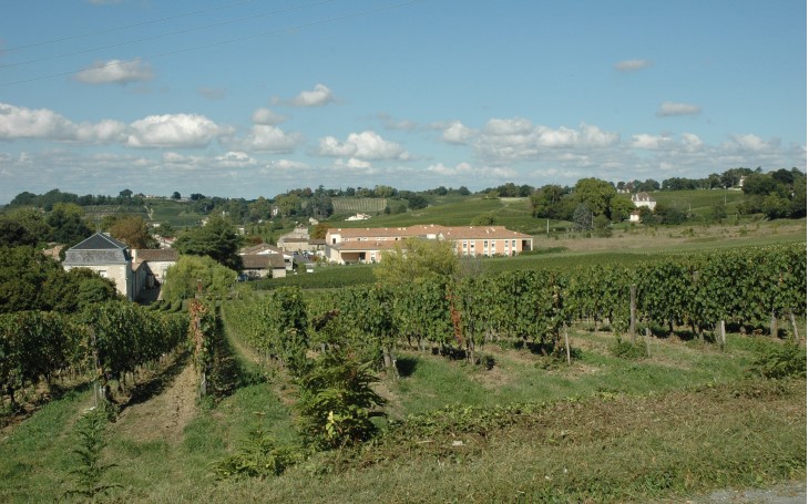 Fronsac - Depuis le Chemin de Richelieu, le vignoble sur les coteaux autour du village de Fronsac - © Marion CRIVELLARO