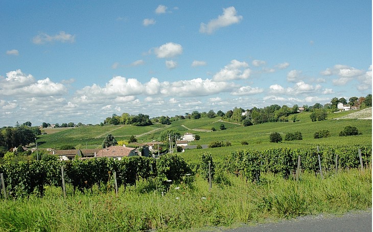 Fronsac - Le vignoble sur les collines du plateau s'étale autour de nombreux hameaux et propriétés viticoles - © Marion CRIVELLARO