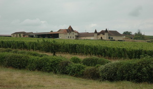 Maumusson-Laguian - Château Laffitte-Teston, un domaine de 25 ha. © Marion CRIVELLARO