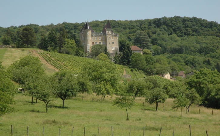 Saint-Jean-le-Vieux - Vignes au pied du château de Varey - © M.CRIVELLARO