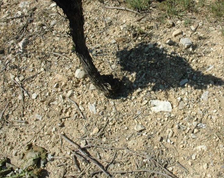 Sol caillouteux argilo -calcaire - Vignoble du Lubéron - © Adrien CRIVELLARO