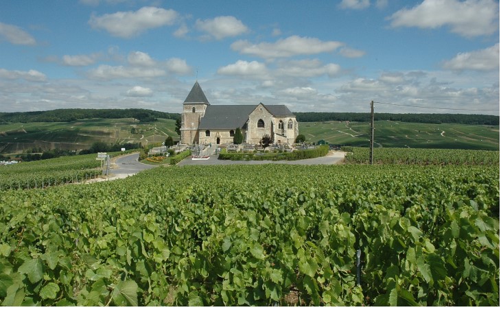 Vallée de la Marne - Chavot-Courcourt - L'église de Chavot du XIIe et XVIe siècles au loin les villages de Moussy et Pierry -  © M.CRIVELLARO