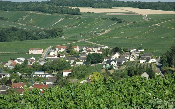 Vallée de la Marne - Rive droite - Vandières - Le village entouré de vignes -  © M.CRIVELLARO
