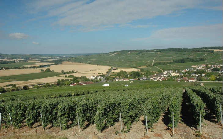 Vallée de la Marne - Rive droite - Vandières - Les coteaux couverts de vignes s'étendent au loin vers Verneuil et Vincelles -  © M.CRIVELLARO