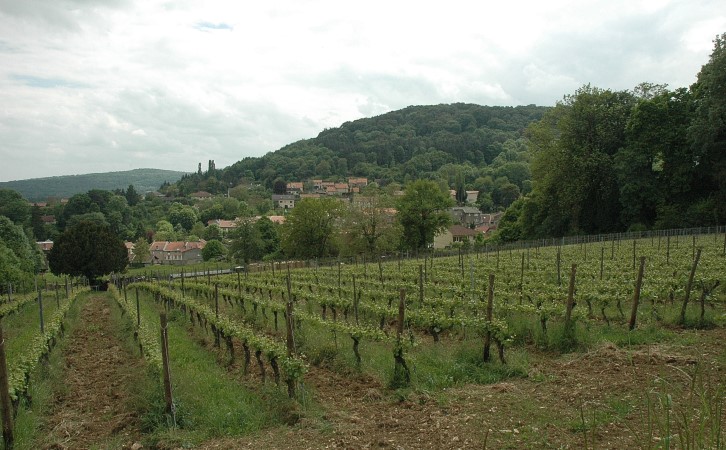 Vaux -  Paysage de petite montagne - Le vignoble surplombe le village de Vaux - © M.CRIVELLARO
