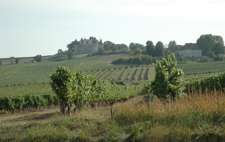 Vignoble de Bergerac au pied du Château de Monbazillac - © M.CRIVELLARO