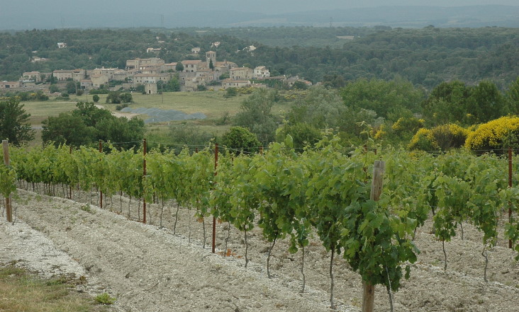 Vignoble de Cabardès - Village d'Aragon - Montagne noire au loin dans la brume - © M.CRIVELLARO