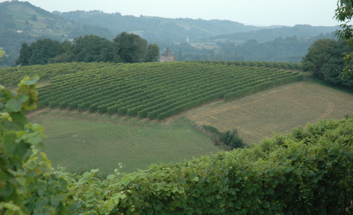 Vignoble de Jurançon - Vignoble de montagne implanté dans un paysage de coteaux - © M.CRIVELLARO