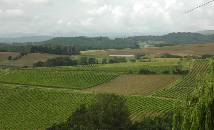 Vignoble de Limoux au nord ouest près de Gaja-et-Villedieu - © M.CRIVELLARO
