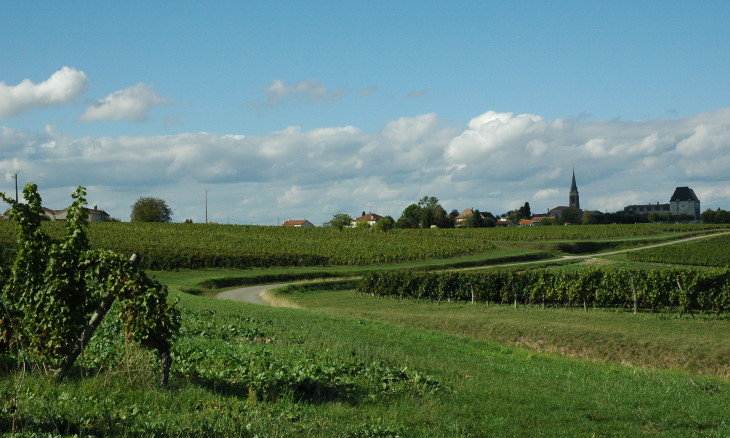 Vignoble de Saussignac - Village de Saussignac - © M.CRIVELLARO