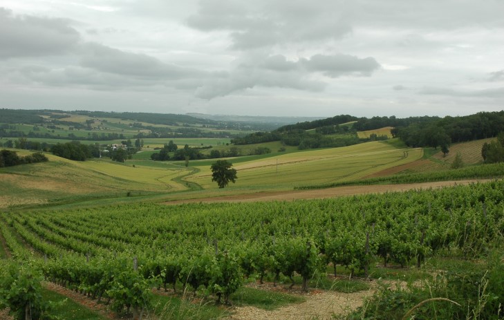 Vignoble du Bruhlois - Le vignoble surplombe la vallée de la Garonne - © M.CRIVELLARO