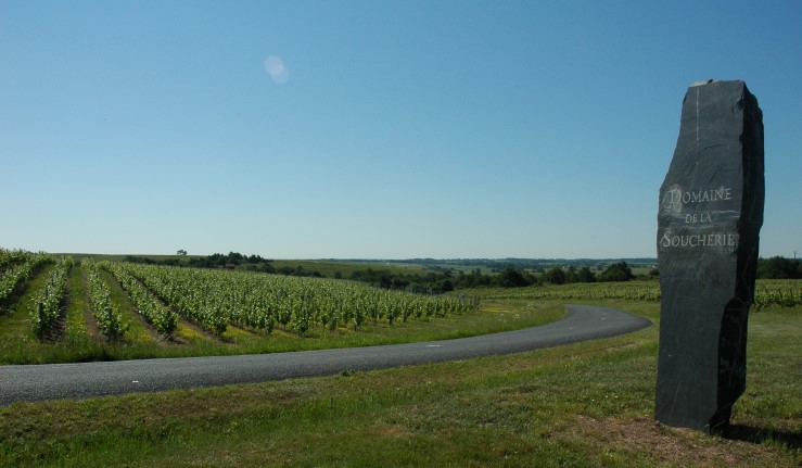 Vignobles d'Anjou - Coteaux du Layon - © M.CRIVELLARO