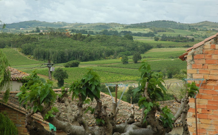 Vue du vignoble de Malepère sur les coteaux qui entourent le village de Routier - © M.CRIVELLARO