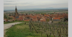 De Marlenheim à Riquewihr -  Les vignobles d'Alsace