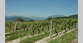 Les vignobles de l'Avant-Pays-de-Savoie, le long de la rive gauche du Rhône et autour du lac du Bourget.