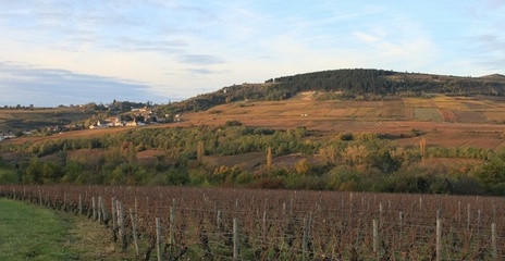 Côte de Beaune - Vignobles de Maranges Côte de Beaune - Vignobles de Maranges