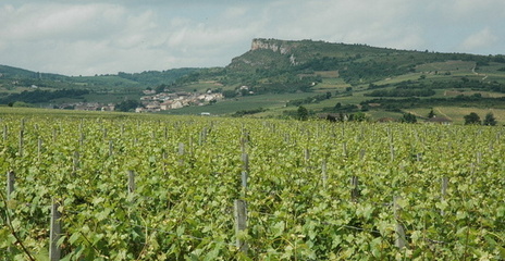 Davayé - Vue vers le village de Solutré-Pouilly et la Roche de Solutré 