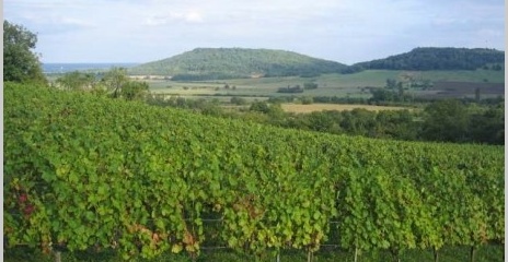 Côtes de Toul à Bruley