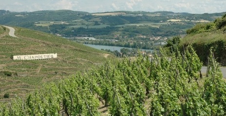 Vallée du Rhône - Vignoble de Côte-Rôtie surplombant le Rhône sur les hauteurs du village d'Ampuis. Vallée du Rhône - Vignoble de Côte-Rôtie surplombant le Rhône sur les hauteurs du village d'Ampuis.